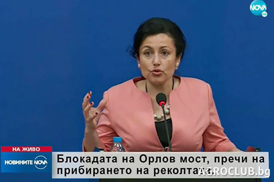 Танева колаж
