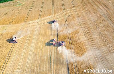 Общо 6% спад в производството на зърнени и маслодайни култури в ЕС за 2018
