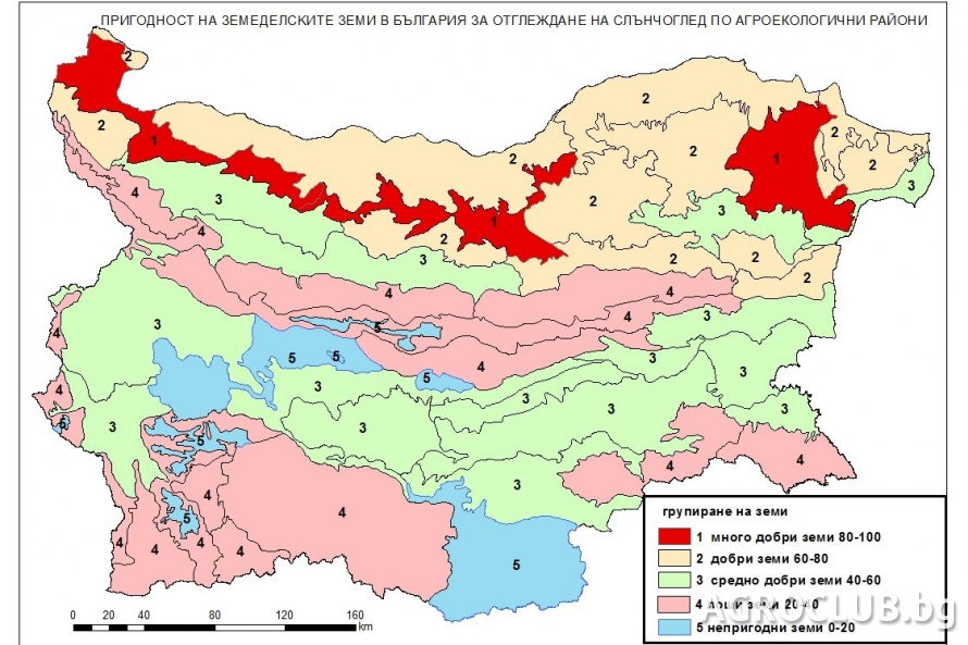 инфографика: ССА