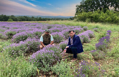 лавандулово масло